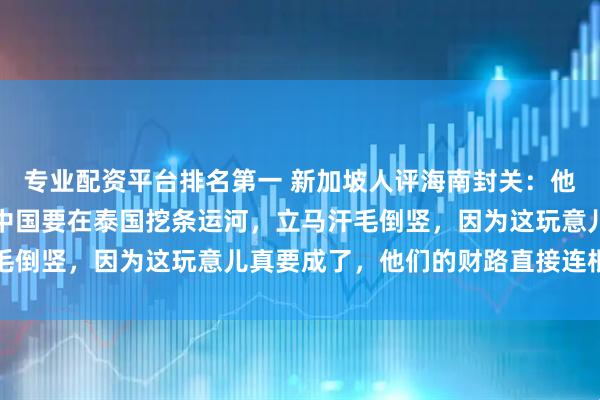 专业配资平台排名第一 新加坡人评海南封关：他们眼皮都不抬，可一听中国要在泰国挖条运河，立马汗毛倒竖，因为这玩意儿真要成了，他们的财路直接连根拔起