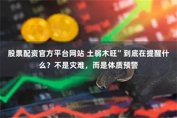 股票配资官方平台网站 土弱木旺”到底在提醒什么?不是灾难,而是体质预警